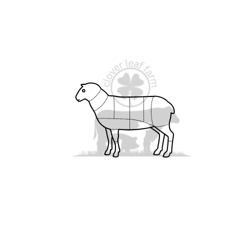 illustration lamb meat
