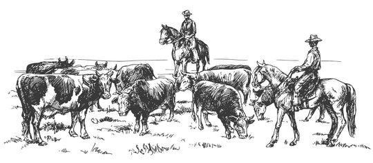 The Rancher